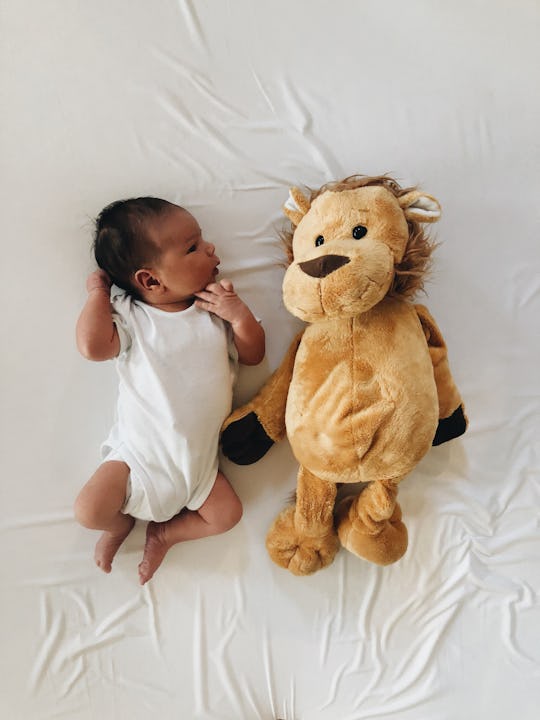 Portrait of a baby boy and his stuffed lion