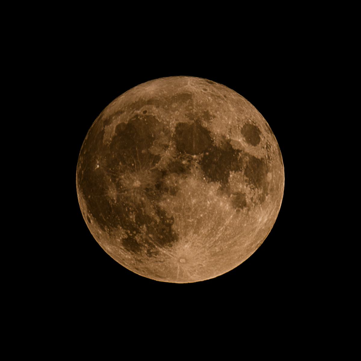 My Image 50