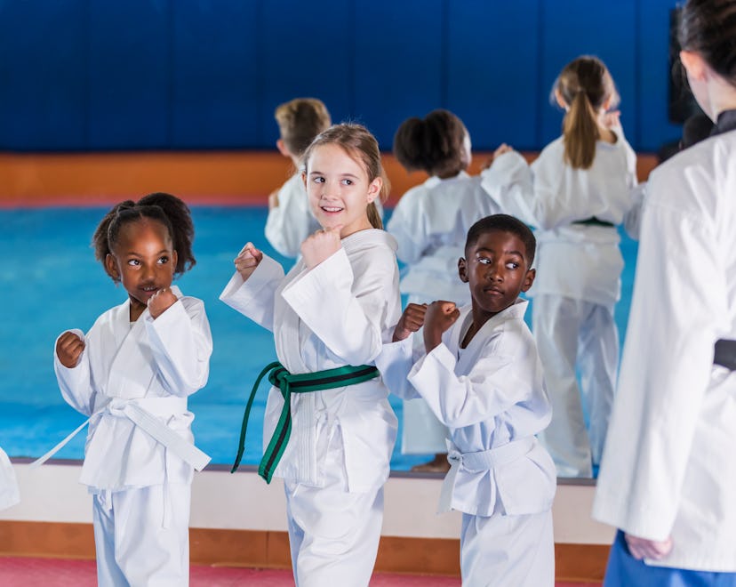 A multi-ethnic group of children, 6 to 9 years old, taking a taekwondo class. They are standing in a...