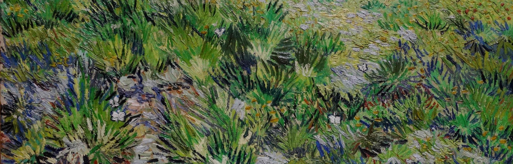 Vincent van Gogh, Dutch school. Long Grass with Butterflies, 1890. Oil on canvas (64.5 x 80.7 cm). L...
