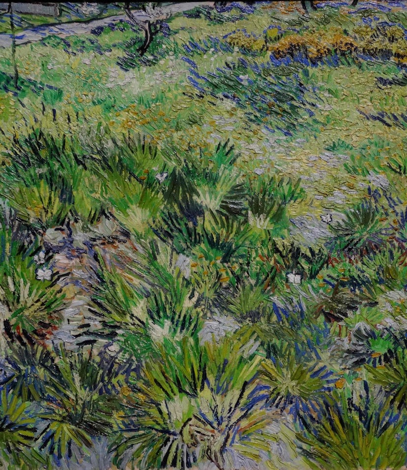 Vincent van Gogh, Dutch school. Long Grass with Butterflies, 1890. Oil on canvas (64.5 x 80.7 cm). L...