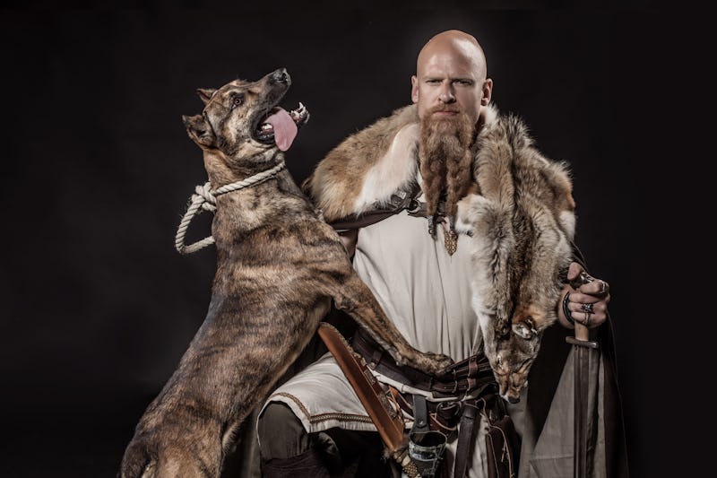 Viking warrior Odin man holding a dog and an authentic weapon