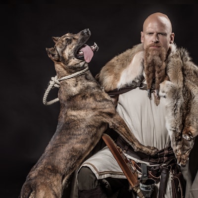 Viking warrior Odin man holding a dog and an authentic weapon