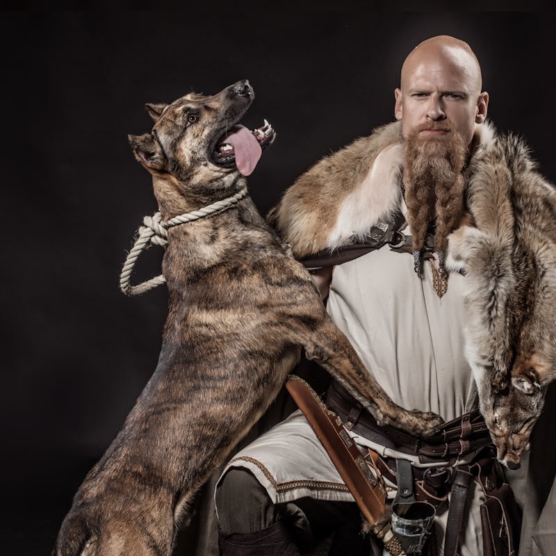 Viking warrior Odin man holding a dog and an authentic weapon