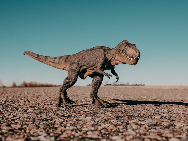 T-Rex Dinosaur on Road