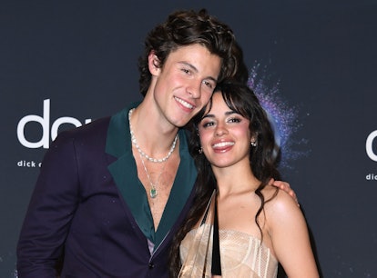 Shawn Mendes and Camila Cabello celebrated their two-year anniversary with romantic Instagram posts.