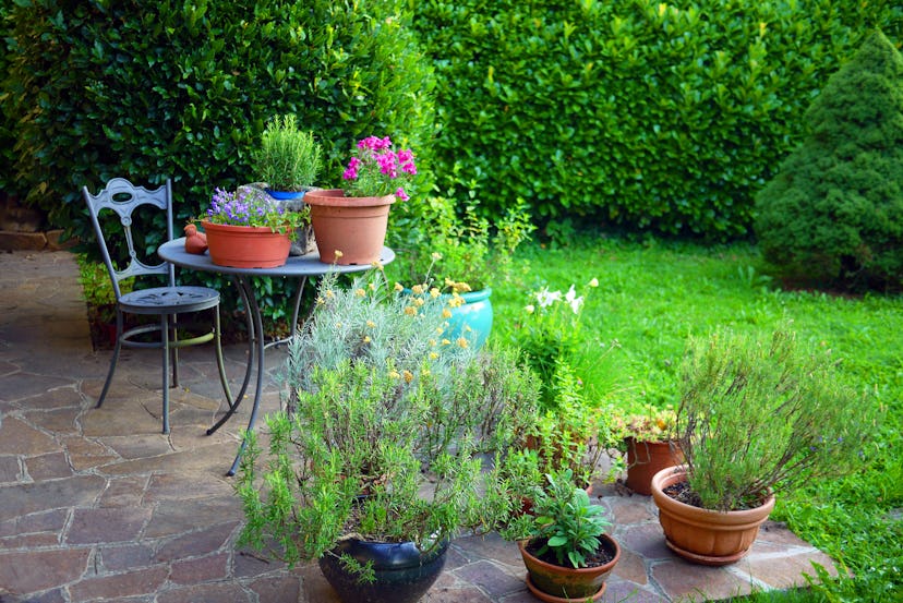 Idyllic Italian garden with wrought iron table and chair, on small patio, surrounded by herbs
