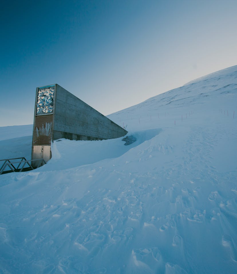 The entrance to the international gene bank Svalbard Global Seed Vault (SGSV) near Longyearbyen on S...