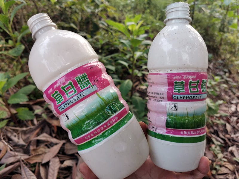 YICHANG, CHINA - MAY 7, 2021 - Pesticide bottles are discarded by farmers after using glyphosate her...
