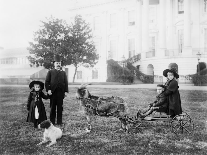 Major Russell Harrison, son of U.S. President Benjamin Harrison, with his daughter Marthena and neph...
