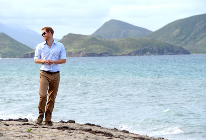 ST KITTS, SAINT KITTS AND NEVIS - NOVEMBER 23:  Prince Harry visits the Nevis turtle conservation pr...