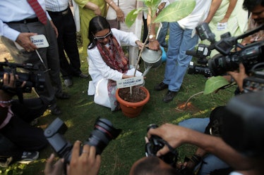 MUMBAI, INDIA - APRIL 14, 2008: Shabana Azmi inaugurates the park on Juhu Beach by planting a tree. ...