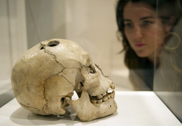 A woman looks at a bronze age skull from Jericho, dated to between 2200 and 2000 BCE, showing the an...