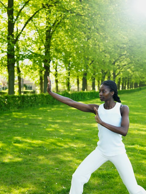 Your tai chi for beginners guide, straight from the pros.