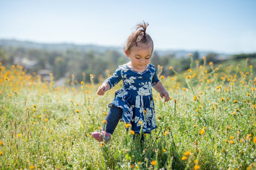 A cute toddler girl walking through wildflowers on a hot summer day.