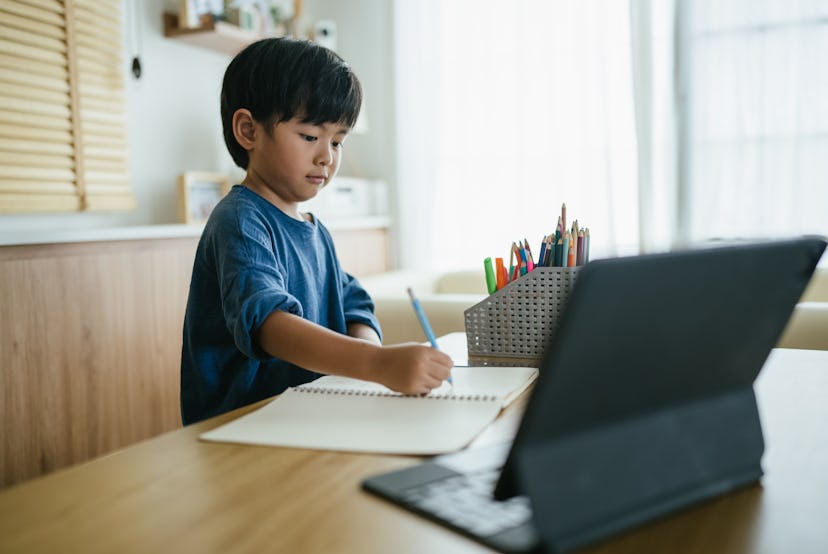 little boy doing work online