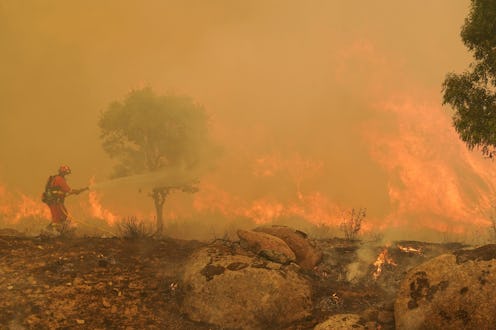 A firefighter operates at the site of a wildfire. To fight combat change, individuals can help by ma...