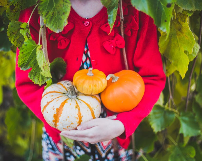 Children's books about pumpkins for all ages.