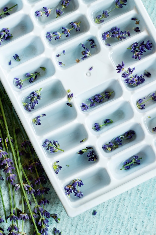 Plastic ice-cube mold filled with water and lavender buds.
