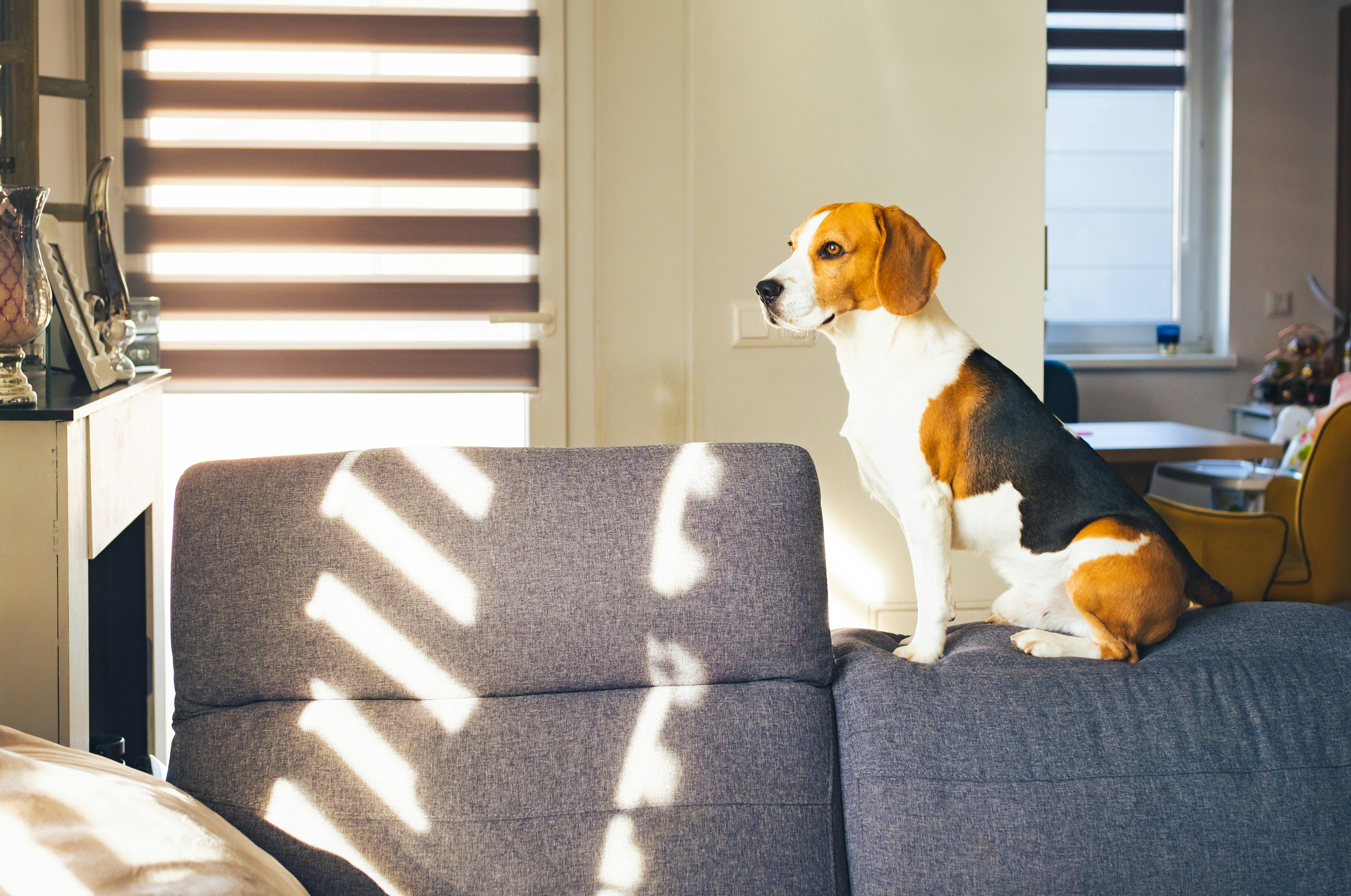 Photo taken in Graz, Austria