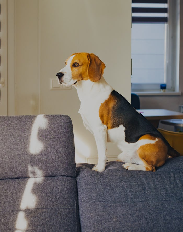 Photo taken in Graz, Austria