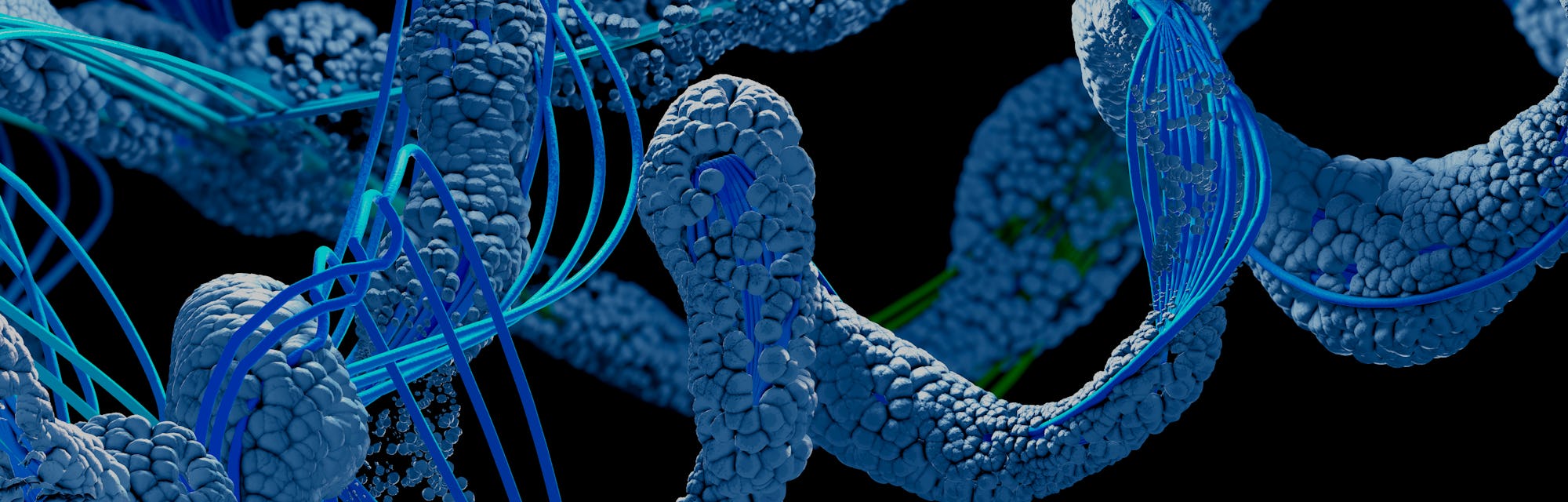 Protein, illustration.