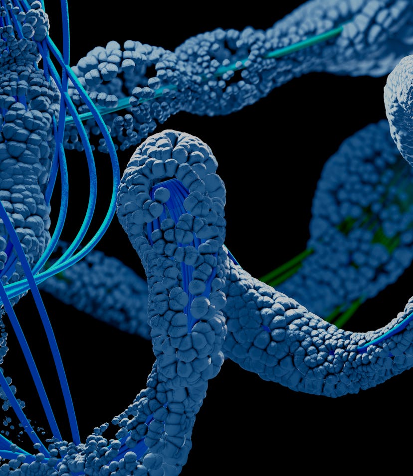 Protein, illustration.
