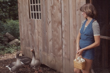 American businesswoman Martha Stewart carries a basket of eggs from a chicken coop on the grounds of...