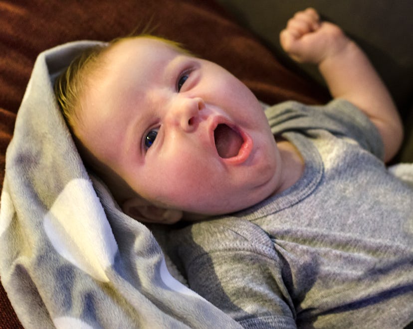 Newborn baby Girl in Blanket