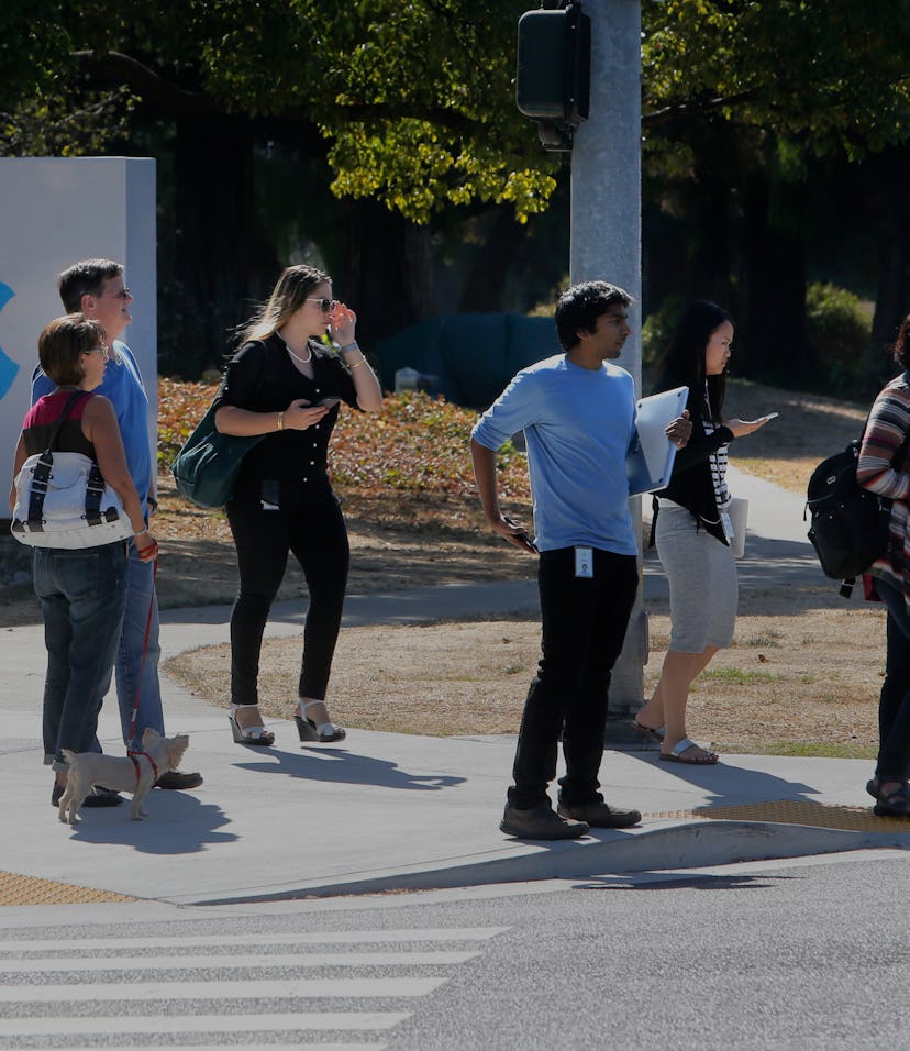 Building signs with Apple logos line De Anza Blvd., in Cupertino, Calif., as seen on Wed. October 7,...