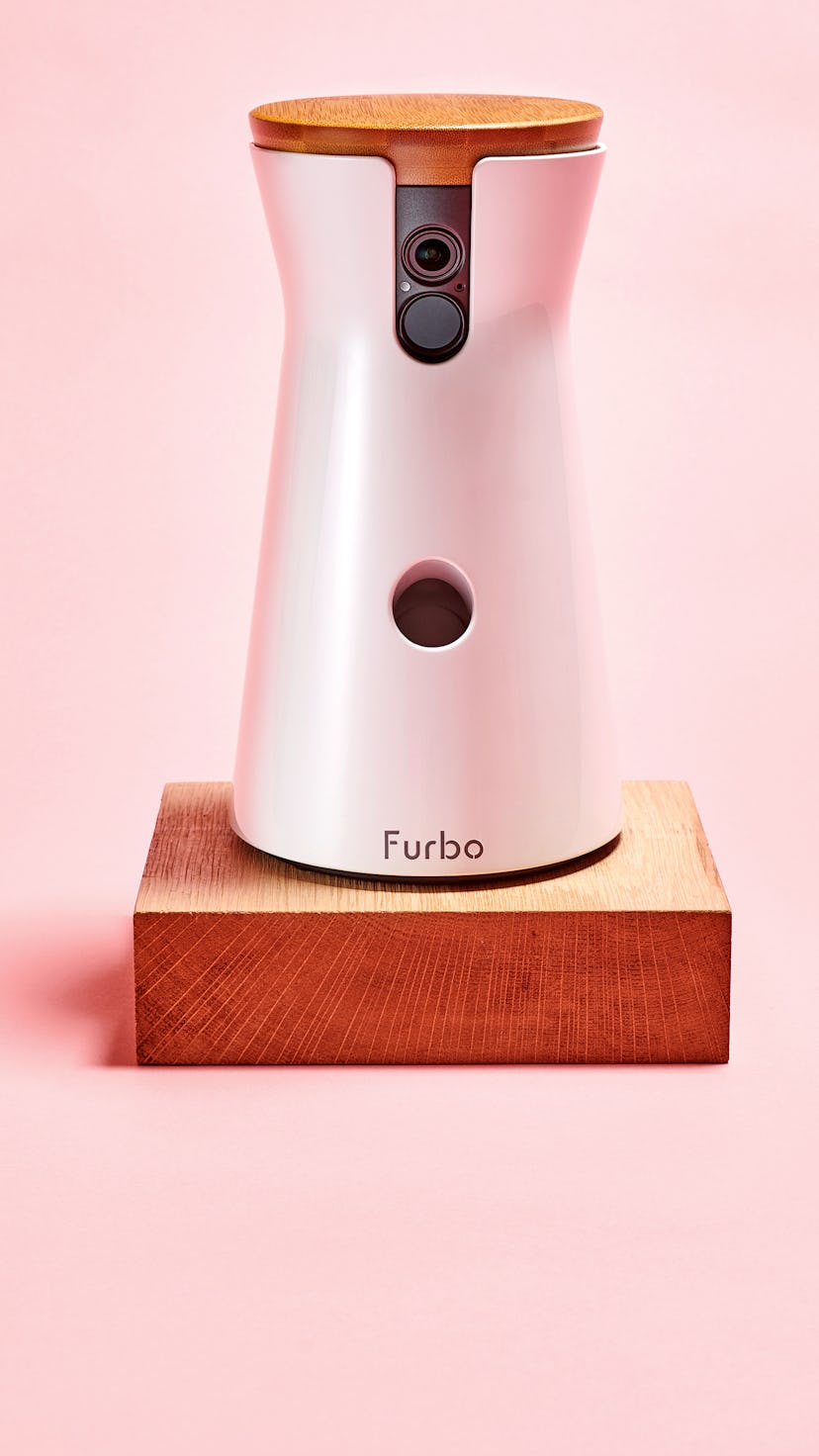 A Furbo Dog Camera, taken on March 17, 2020. (Photo by Neil Godwin/Future Publishing via Getty Image...