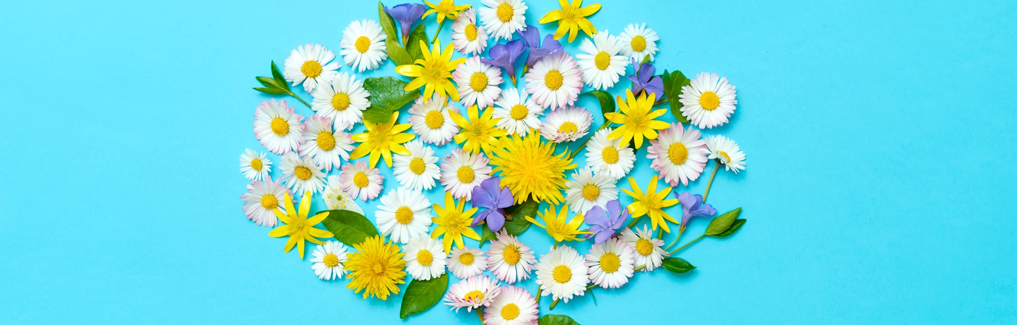 Flowers and leaves forming brain shape on blue background.