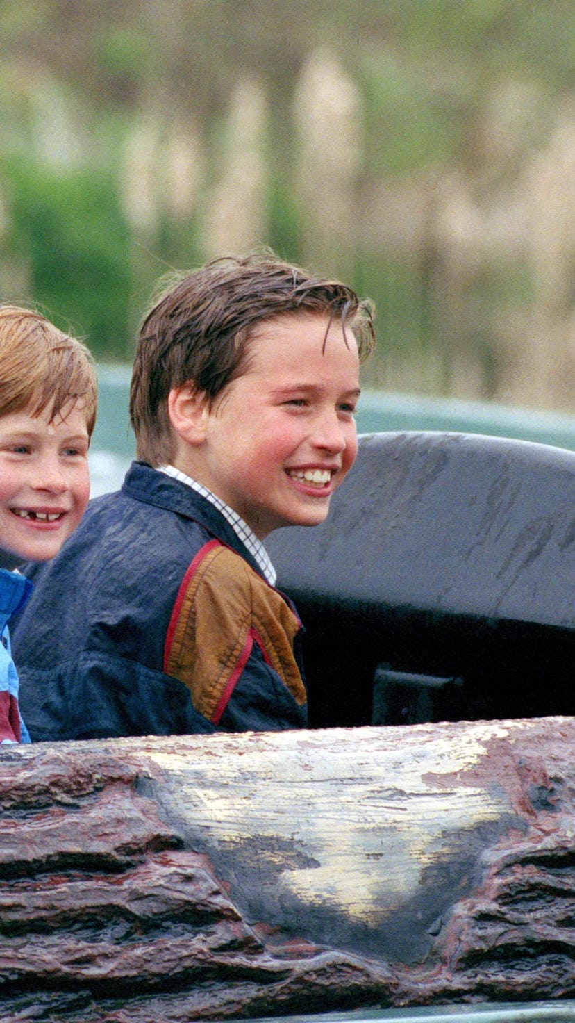 Picture From File:Diana Princess Of Wales, Prince William & Prince Harry Visit The 'Thorpe Park' Amu...