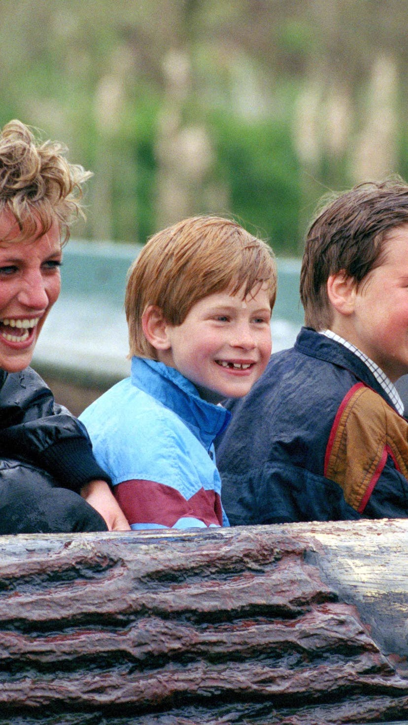 Picture From File:Diana Princess Of Wales, Prince William & Prince Harry Visit The 'Thorpe Park' Amu...