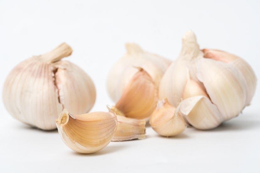 Garlic isolated on white background