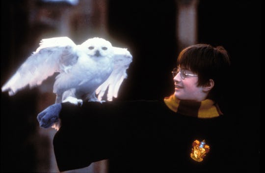 HBO Max Is in Talks for Harry Potter Series