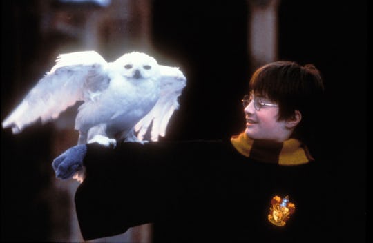 HBO Max Is in Talks for Harry Potter Series