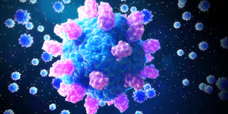 Astrovirus particles, illustration. Astroviruses are small viruses, about 28 nanometres in diameter,...