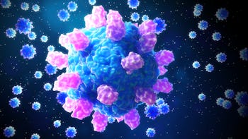 Astrovirus particles, illustration. Astroviruses are small viruses, about 28 nanometres in diameter,...