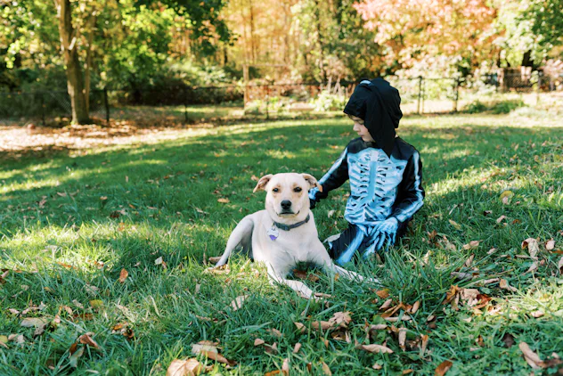 18 Halloween Dog Names For October Pups