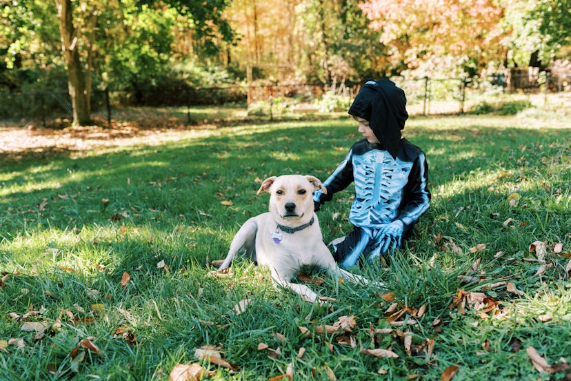 boy dressed as skeleton for halloween with dog