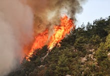 ANTALYA, TURKEY - AUGUST 05: Flames rise after a forest fire broke out in Gundogmus district as grou...