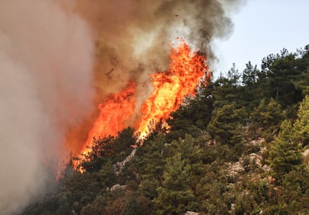 ANTALYA, TURKEY - AUGUST 05: Flames rise after a forest fire broke out in Gundogmus district as grou...