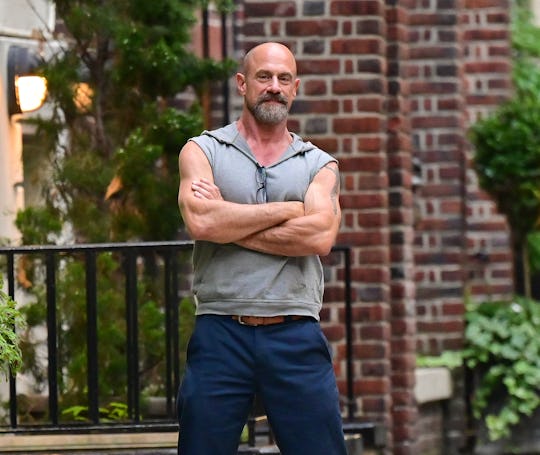 Chris Meloni, the internet's favorite Zaddy.