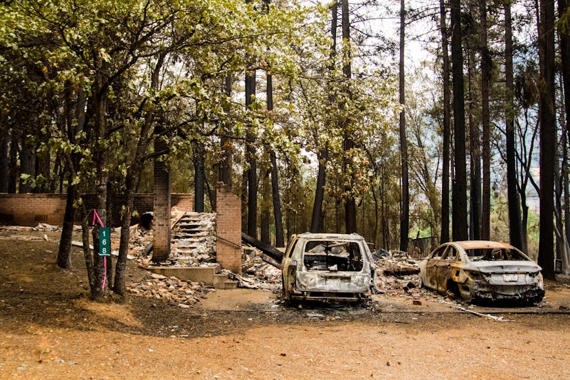 CALIFORNIA, UNITED STATES - 2021/07/31: Aftermath of the Dixie fire after it burned through a small ...