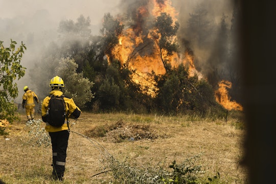 ââââATHENS, GREECE - AUGUST 06: Firefighters operate during a wildfire in Ipokratios Politeia Afidne...