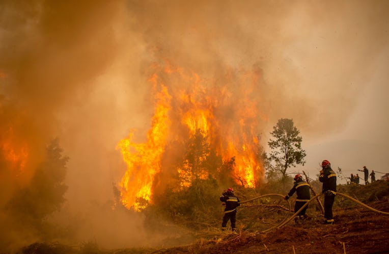 Serbian firefighters use a water hose to extinguish the burning blaze of a forest fire in the villag...