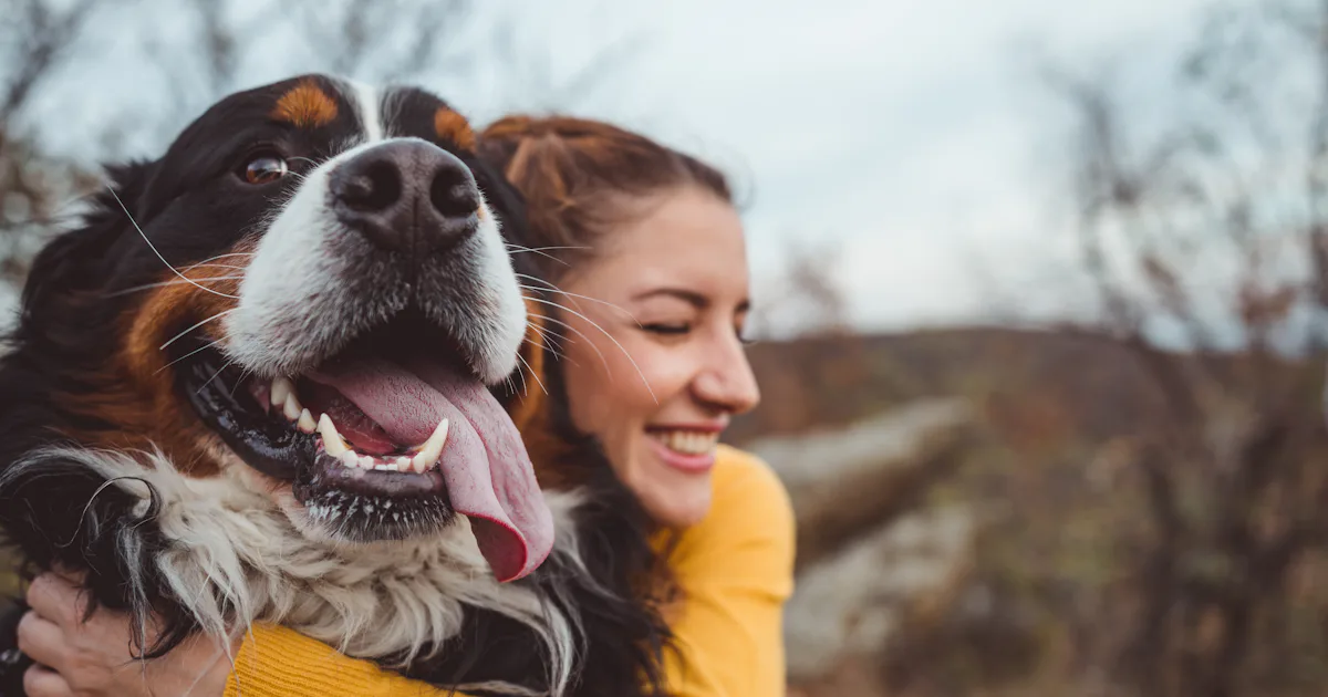 Dogs While High Can Dogs Get High On Weed? Here's What's Really Happening