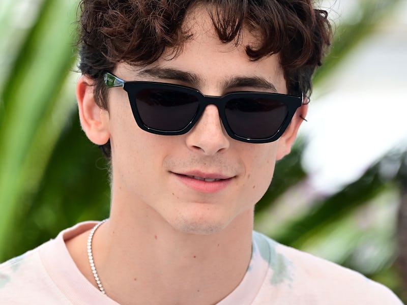 CANNES, FRANCE - JULY 13: Timothée Chalamet attends the "The French Dispatch" photocall during the 7...