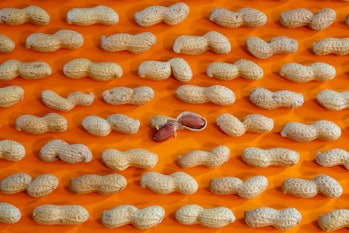 Large group of peanuts on orange background.